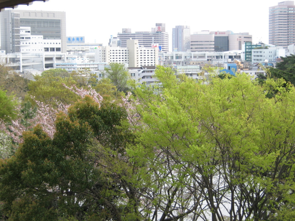 지바시 이미지