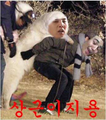 라벤스 이미지