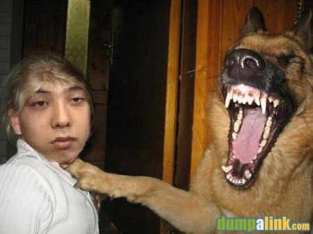 라벤스 이미지