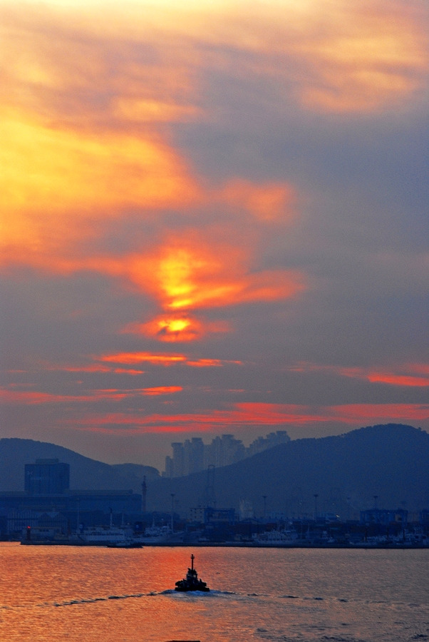 부산화물 이미지