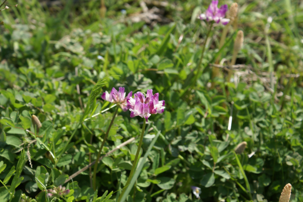 �̹����� Ŭ���ϸ� ������ ���� �� �ֽ��ϴ�.