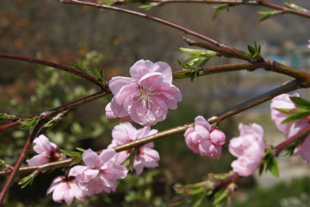 �̹����� Ŭ���ϸ� ������ ���� �� �ֽ��ϴ�.