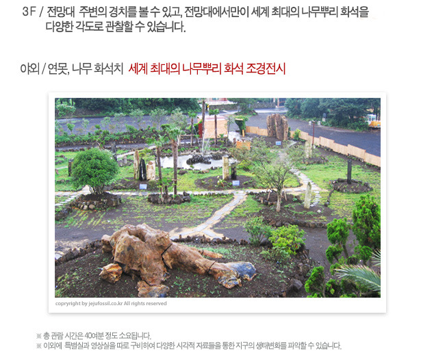 제주화석박물관 이미지