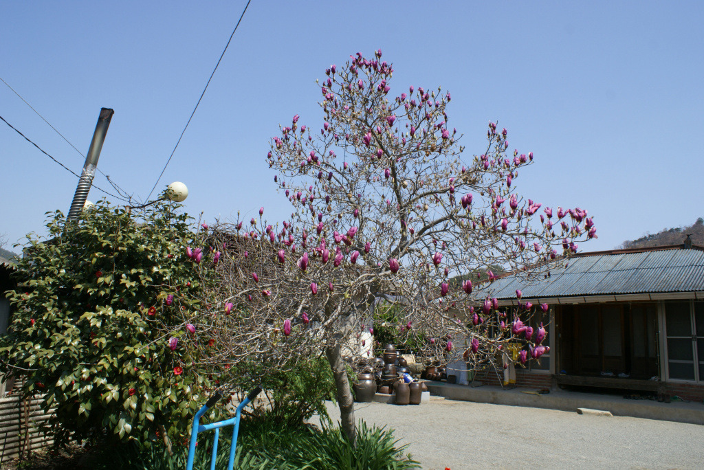 �̹����� Ŭ���ϸ� ������ ���� �� �ֽ��ϴ�.