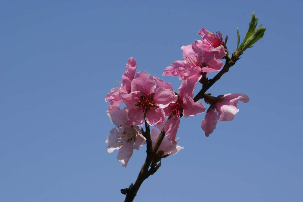 �̹����� Ŭ���ϸ� ������ ���� �� �ֽ��ϴ�.