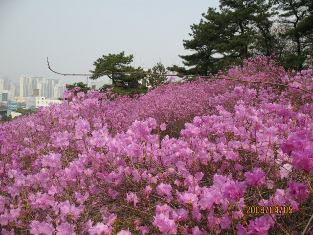 (주)효성 안양공장 이미지