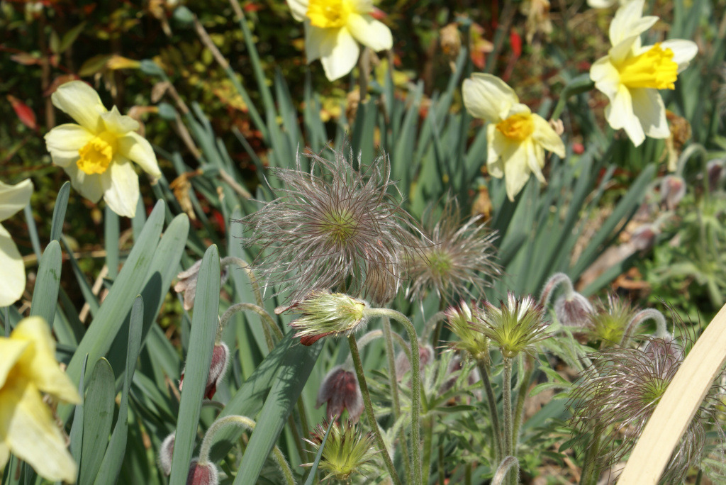 �̹����� Ŭ���ϸ� ������ ���� �� �ֽ��ϴ�.